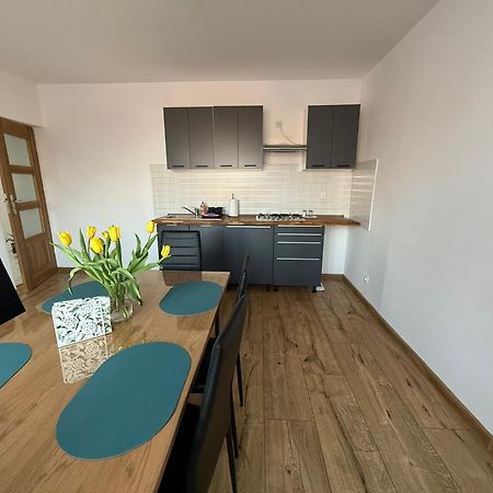 Villa Zacisze U Rysia à Brochów Extérieur photo